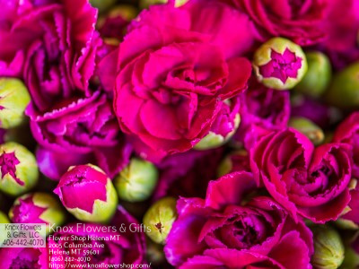 Florist «Knox Flowers & Gifts», reviews and photos, 2005 Columbia Ave, Helena, MT 59601, USA