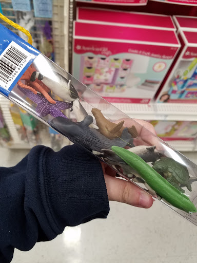 Craft Store «Michaels», reviews and photos, 471 State Rd, North Dartmouth, MA 02747, USA