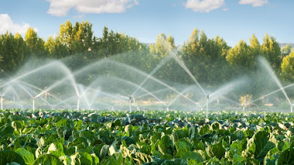 Basic Irrigation Services Inc
