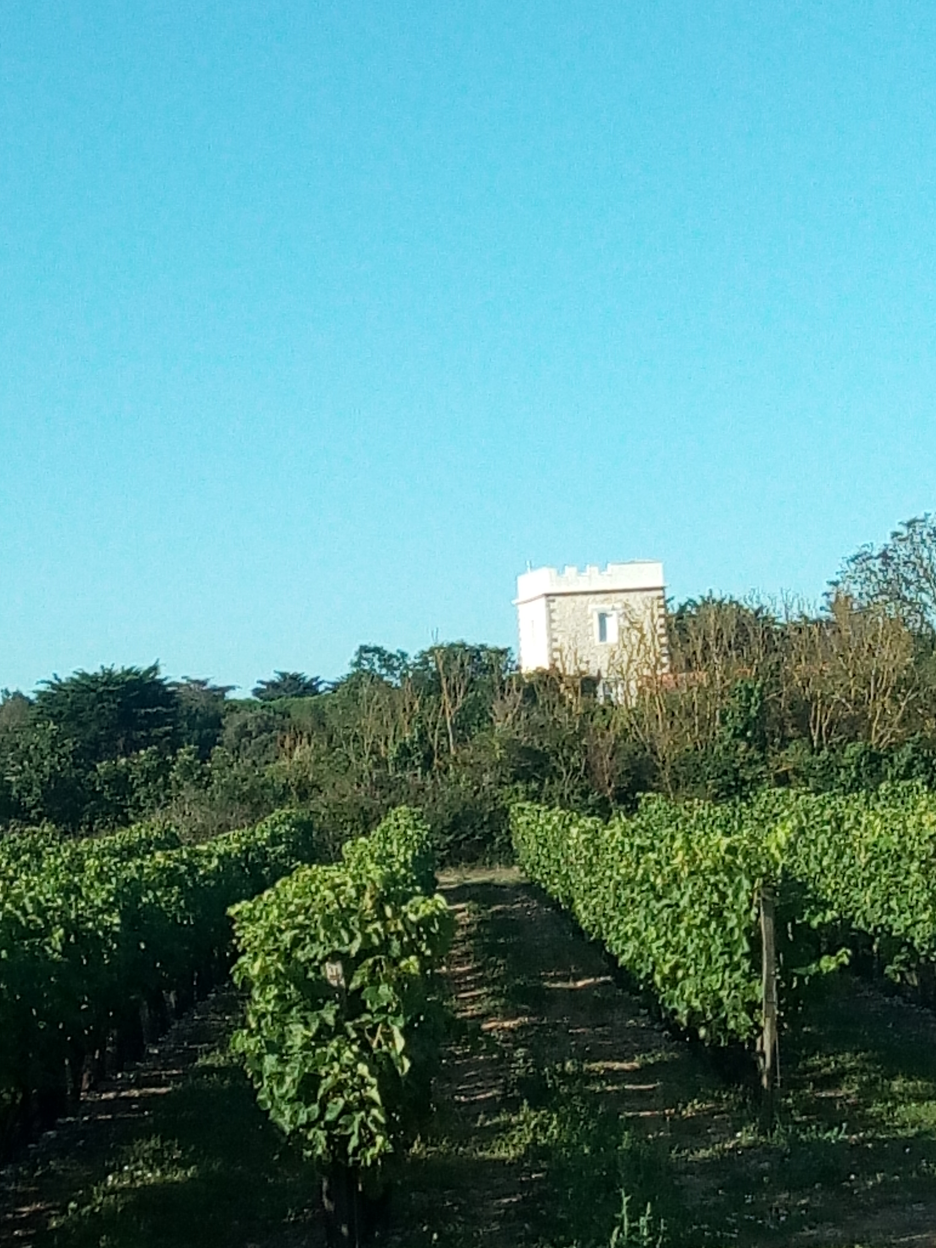 Photo n° 35 de l'avis de Laurent.O fait le 01/09/2019 à 15:42