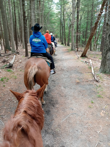 Tourist Attraction «C and L Stables», reviews and photos, 1095 Ives Rd, East Greenwich, RI 02818, USA