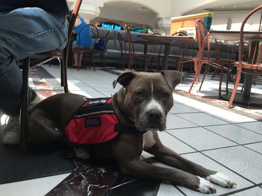 House Cleaning Service «Maid Right of Dayton», reviews and photos, 780 W Central Ave, Springboro, OH 45066, USA