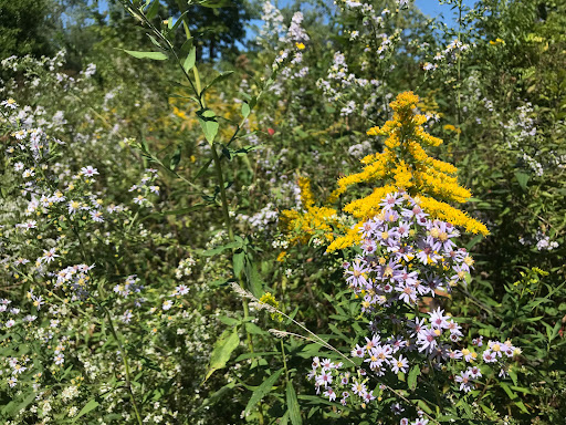 Rehabilitation Center «Willowbrook Wildlife Center», reviews and photos, 525 S Park Blvd, Glen Ellyn, IL 60137, USA