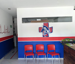 Pets & Company photo