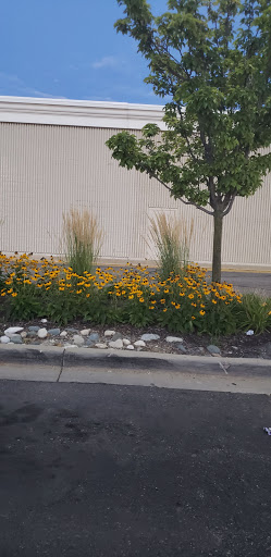 Discount Store «Big Lots», reviews and photos, 50700 Gratiot Ave, Chesterfield, MI 48051, USA