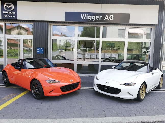 Kommentare und Rezensionen über WIGGER AG Automobile Luzern