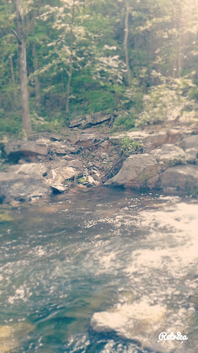 Park «Lykens Glen Park», reviews and photos, 706 Park View Rd, Lykens, PA 17048, USA