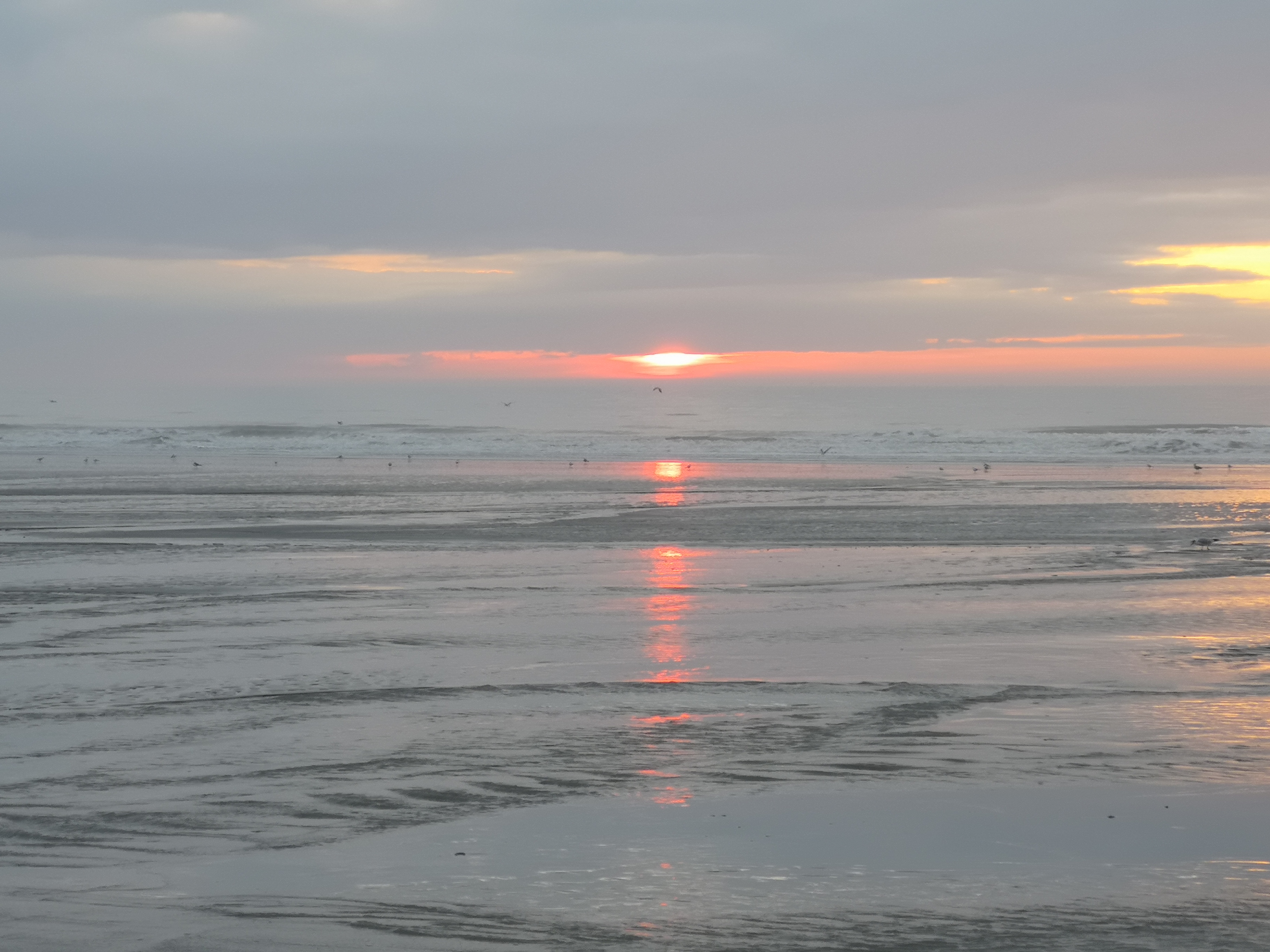 Photo n° 2 de l'avis de Jerome.a fait le 21/02/2019 à 11:22