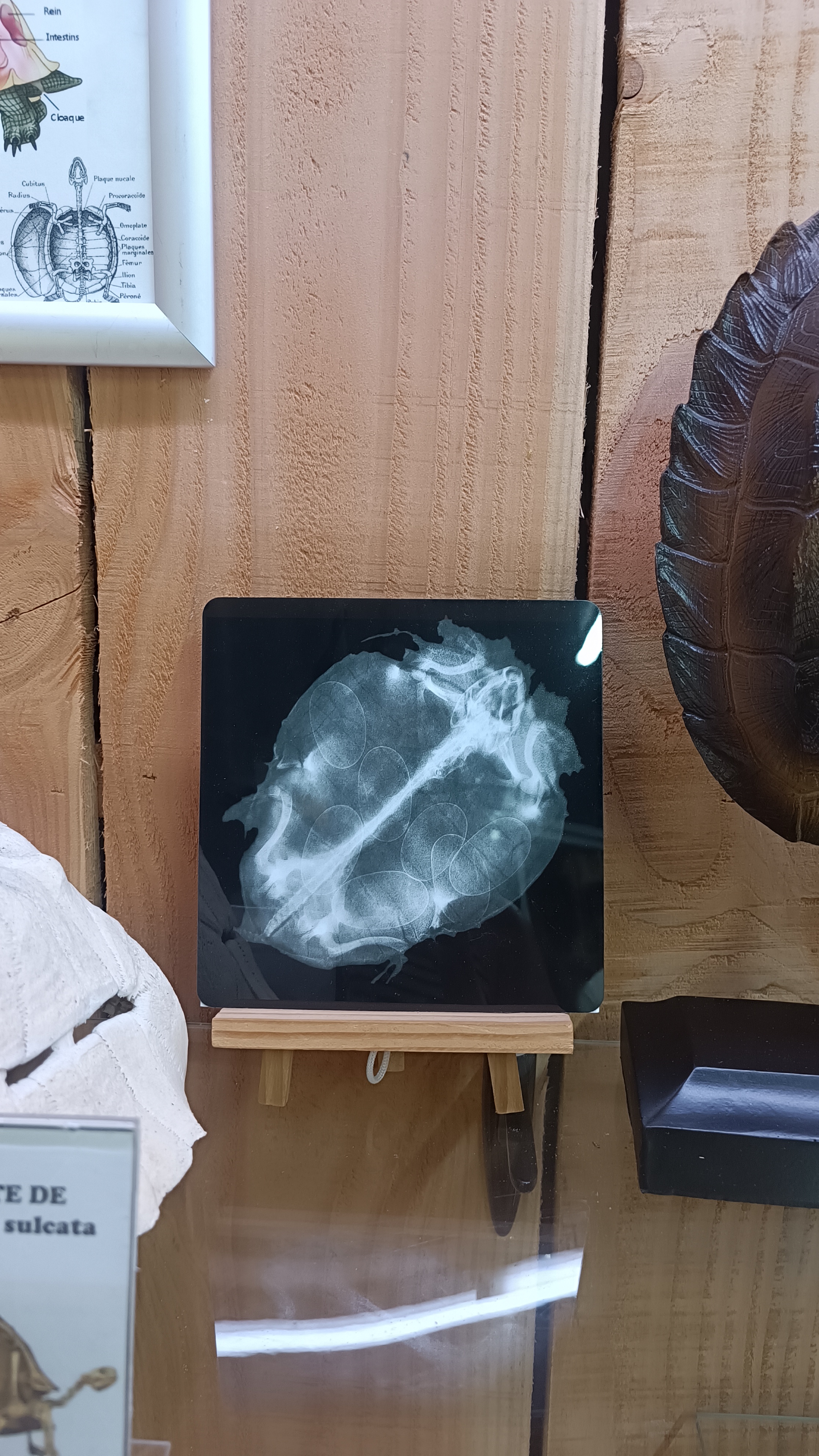 Photo n° 5 de l'avis de Virginie.v fait le 24/07/2023 à 14:22