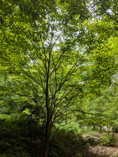 History Museum «Archibald Smith Plantation Home», reviews and photos, 935 Alpharetta Hwy, Roswell, GA 30075, USA