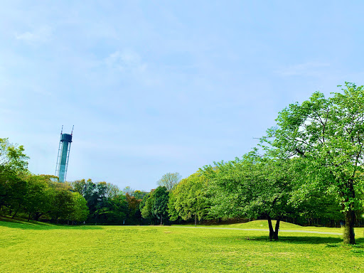 Tokyo Metropolitan Hikarigaoka Park Lawn Open Space