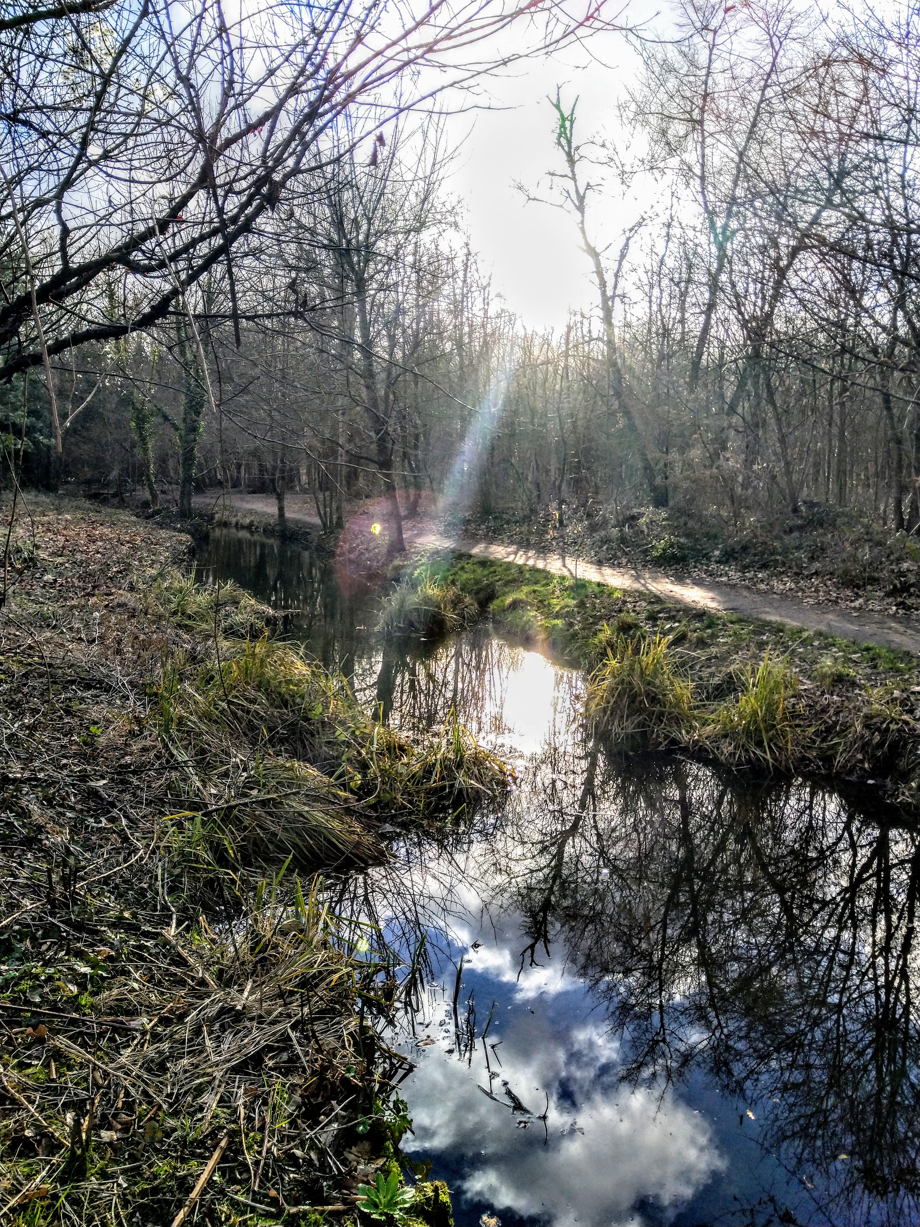 Photo n° 4 de l'avis de Michel.. fait le 07/04/2019 à 18:02
