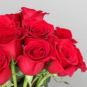 Florist «La Fleur Florals and Events», reviews and photos, 2047 Wilton Dr, Wilton Manors, FL 33305, USA