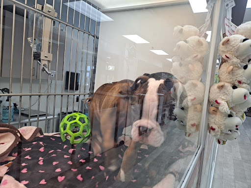 Pet Store «Petland Topeka», reviews and photos, 1801 SW Wanamaker Rd, Topeka, KS 66614, USA