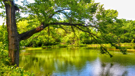 Park «Bear Creek Nature Park», reviews and photos, 1000 Bear Creek Rd, Lancaster, TX 75146, USA