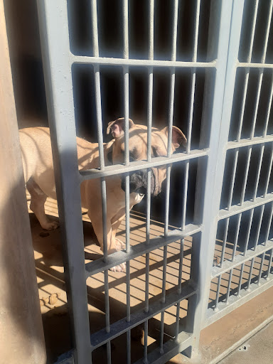 Chula Vista Animal Care Facility