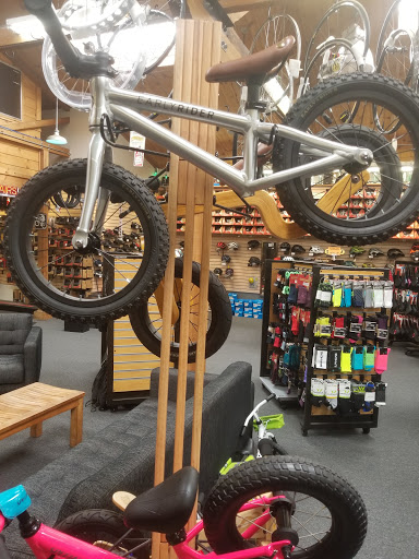 Bicycle Store «Family Cycling Center», reviews and photos, 914 41st Ave, Santa Cruz, CA 95062, USA