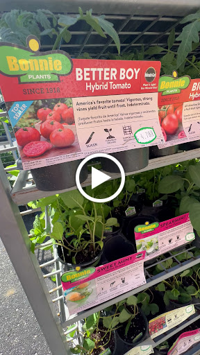 Hardware Store «New Palestine Hardware», reviews and photos, 50 W Main St, New Palestine, IN 46163, USA