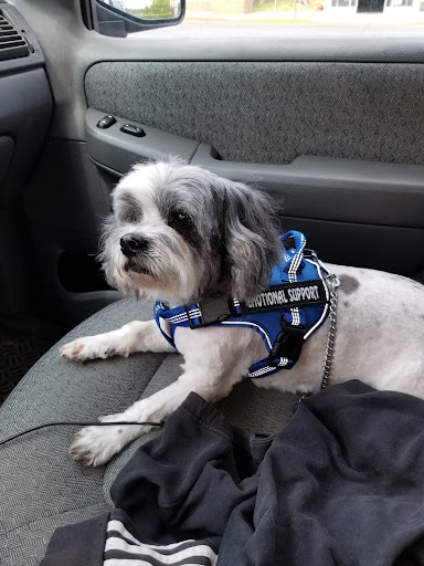 Pet Supply Store «Petco Animal Supplies», reviews and photos, 5717 Plank Rd, Fredericksburg, VA 22407, USA