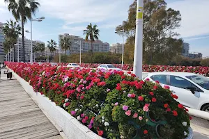 Pont de les Flors- Alcaldessa Rita Barberá image