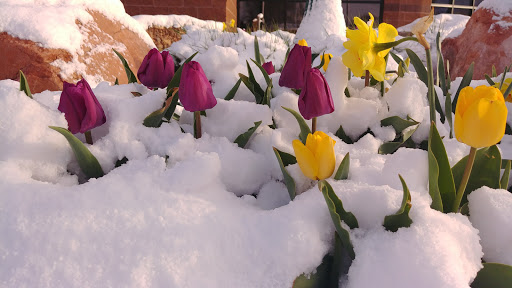 Recreation Center «Lehi Legacy Center», reviews and photos, 123 Center St, Lehi, UT 84043, USA