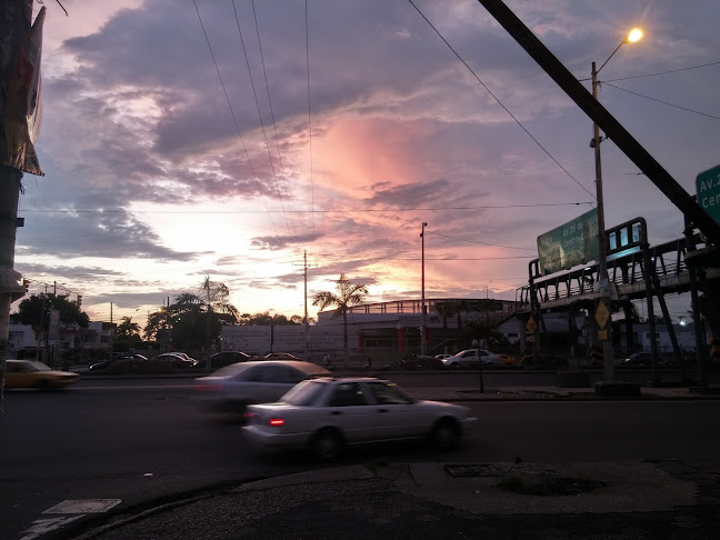 Comercial Las Terrazas - Guayaquil