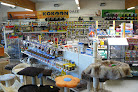 Kokoon Animal Shop Aubagne Aubagne