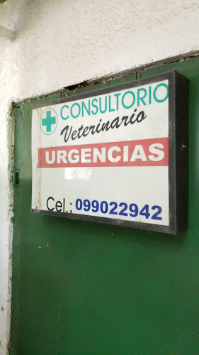 Consultorio Veterinario La Tuna - Veterinario