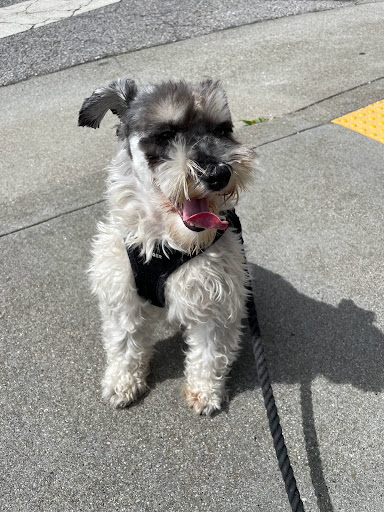 Pet Supply Store «Petco Animal Supplies», reviews and photos, 1591 Sloat Blvd, San Francisco, CA 94132, USA