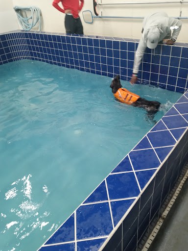 Pet Supply Store «Pet Depot Inc», reviews and photos, 2151 Greenspring Dr, Lutherville-Timonium, MD 21093, USA