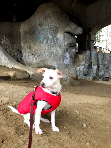 Tourist Attraction «Fremont Troll», reviews and photos, Troll Ave N, Seattle, WA 98103, USA