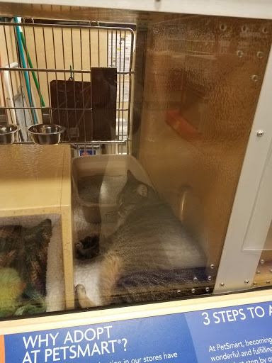 Pet Supply Store «PetSmart», reviews and photos, 400 S State Rd, Springfield, PA 19064, USA