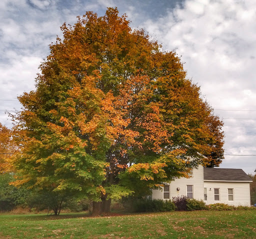 Park «Rolling Hills Park», reviews and photos, 7660 Stony Creek Rd, Ypsilanti, MI 48197, USA