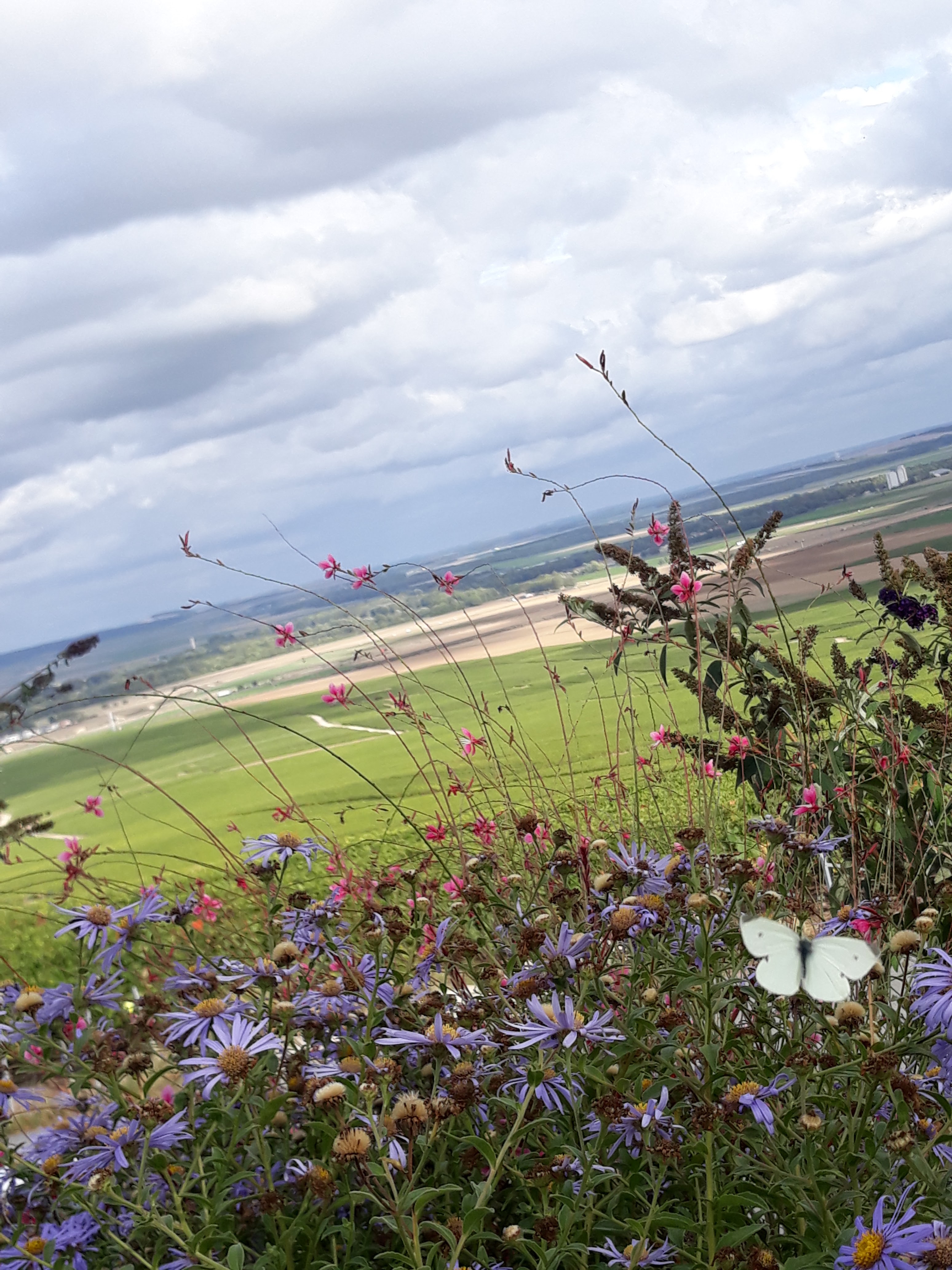 Photo n° 2 de l'avis de Vava. fait le 28/09/2019 à 14:20