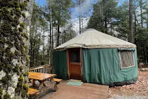 Maine Forest Yurts image