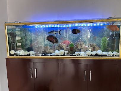 M.R Traders Fish Aquarium Shop (fishy_fish_aquarium_store)