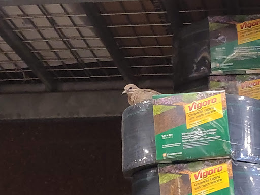 Home Improvement Store «The Home Depot», reviews and photos, 13929 Manchester Rd, Ballwin, MO 63011, USA