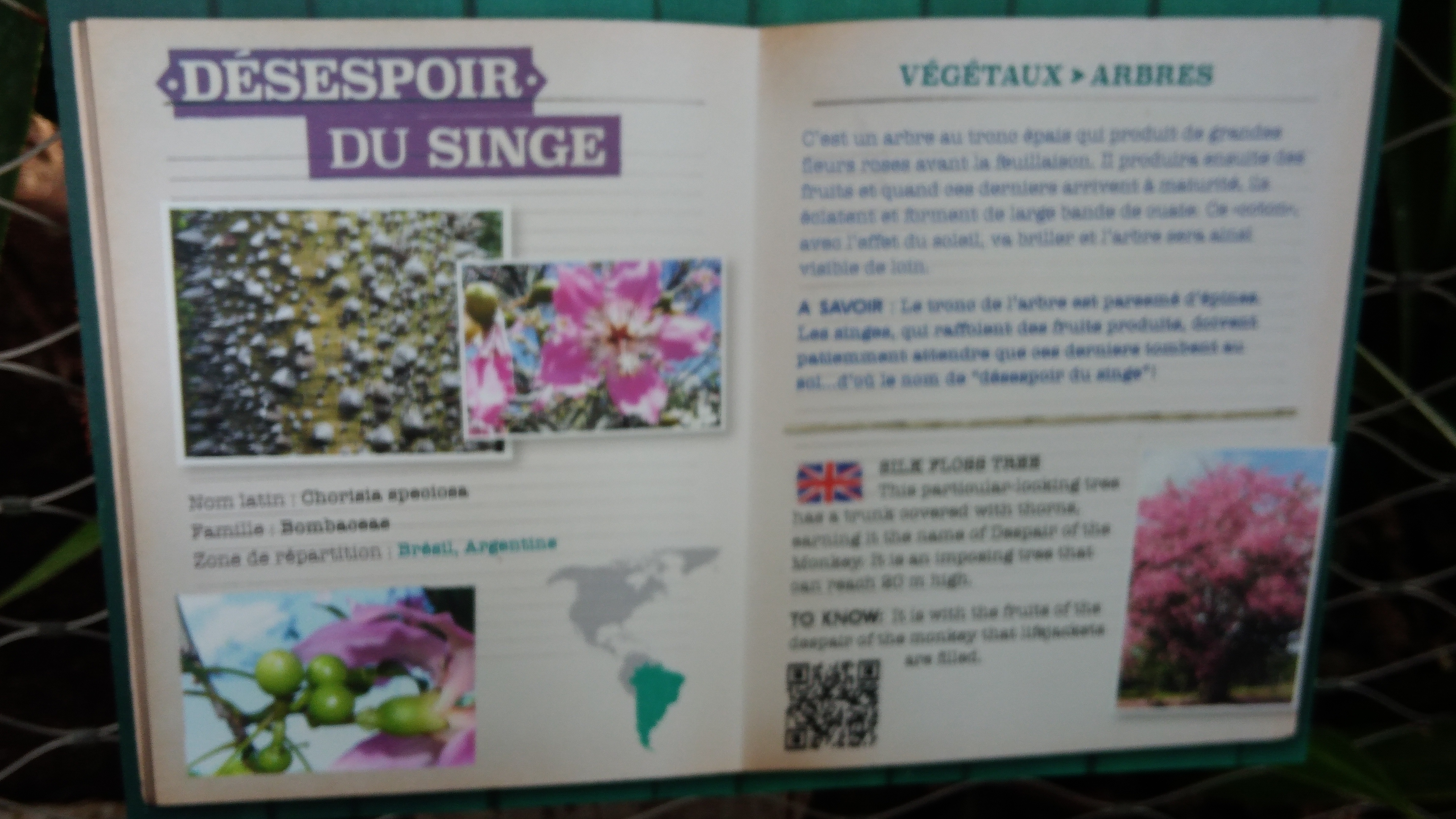 Photo n° 16 de l'avis de J.r fait le 10/04/2018 à 13:15