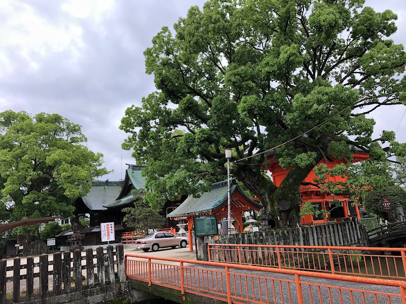 與賀神社の楠