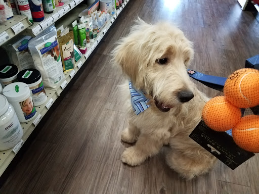 Pet Supply Store «At Your Services Pet Supplies», reviews and photos, 55 S Valle Verde Dr #300, Henderson, NV 89012, USA