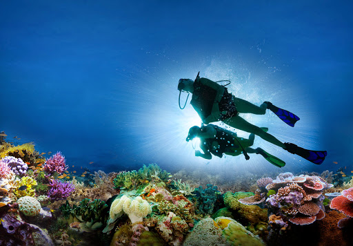 Diving beginners courses Athens