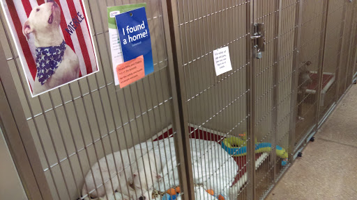 Pet Supply Store «PetSmart», reviews and photos, 1945 Pavilion Way, Lexington, KY 40509, USA