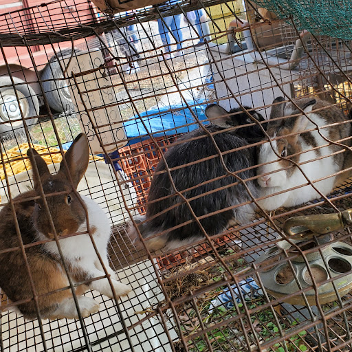 Flea Market «Parkland Flea Market & Restaurant», reviews and photos, 4994 Murfreesboro Rd, Lebanon, TN 37090, USA