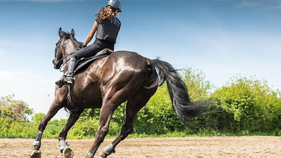 SB HORSE à Luze