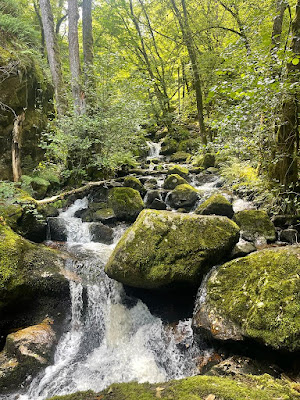 Gorges de la Canche à Roussillon-en-Morvan