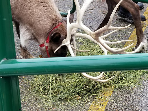 Hardware Store «South Milwaukee Ace Hardware», reviews and photos, 1009 Marquette Ave, South Milwaukee, WI 53172, USA