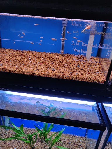 Pet Store «V.I. Pets», reviews and photos, 11975 E Lakewood Blvd, Holland, MI 49424, USA