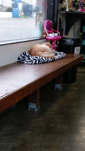 Barber Shop «Supernova Barber Shop», reviews and photos, 632 St Helens Ave, Tacoma, WA 98402, USA