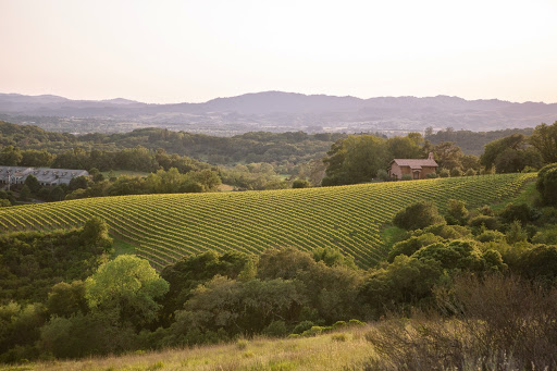 Wedding Planner «Cole Drake Events», reviews and photos, 829 Jefferson St, Napa, CA 94559, USA