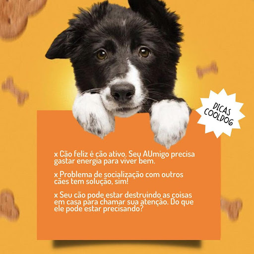 Cool Dog Curitiba - Hotel para Cachorro, Creche para Cachorro, Banho e Tosa